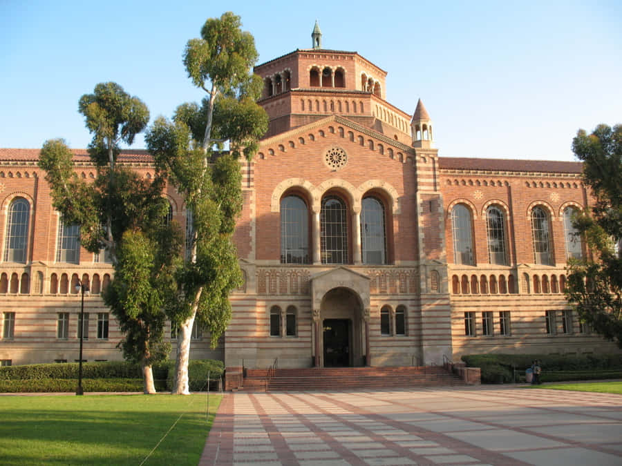 Explore Ucla’s Stunning Campus In Los Angeles Wallpaper