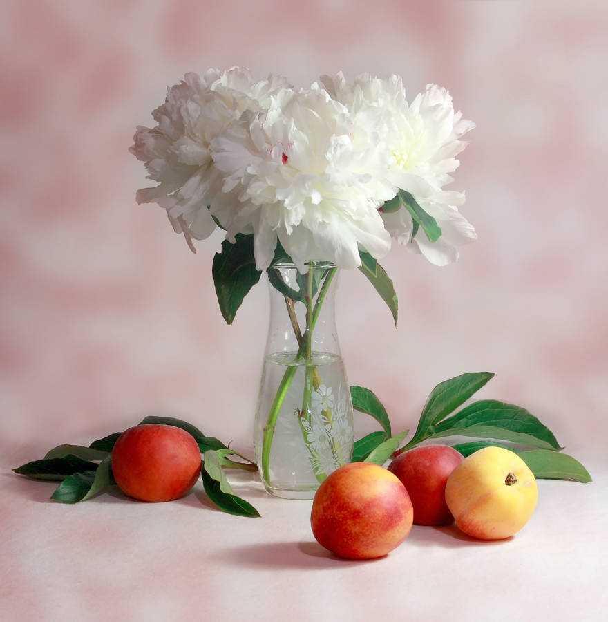 Exquisite White Flowers In Crystal Clear Vase Wallpaper