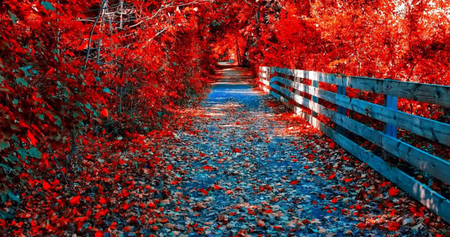 Fall Foliage In Earthy Hues Of Rust And Red Wallpaper
