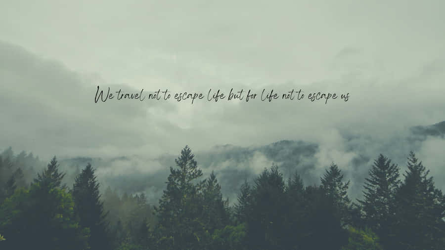 Feel Empowered With The Sleek Sage Green Laptop Wallpaper