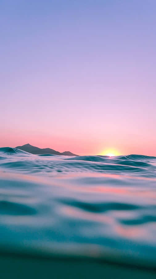 Feel The Sunshine With Tropical Iphone Wallpaper