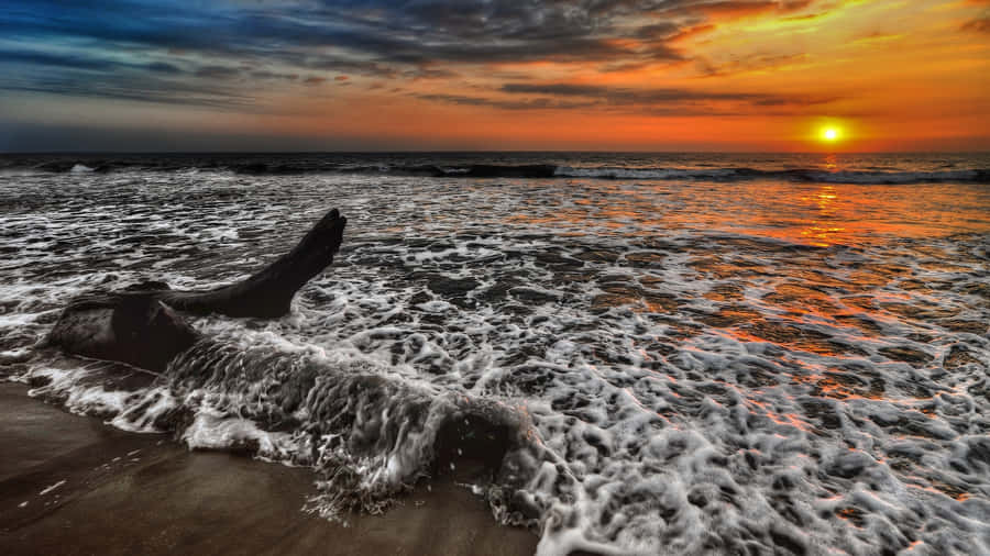 Feel The Warmth Of The Sun's Rays On A Beautiful Day. Wallpaper