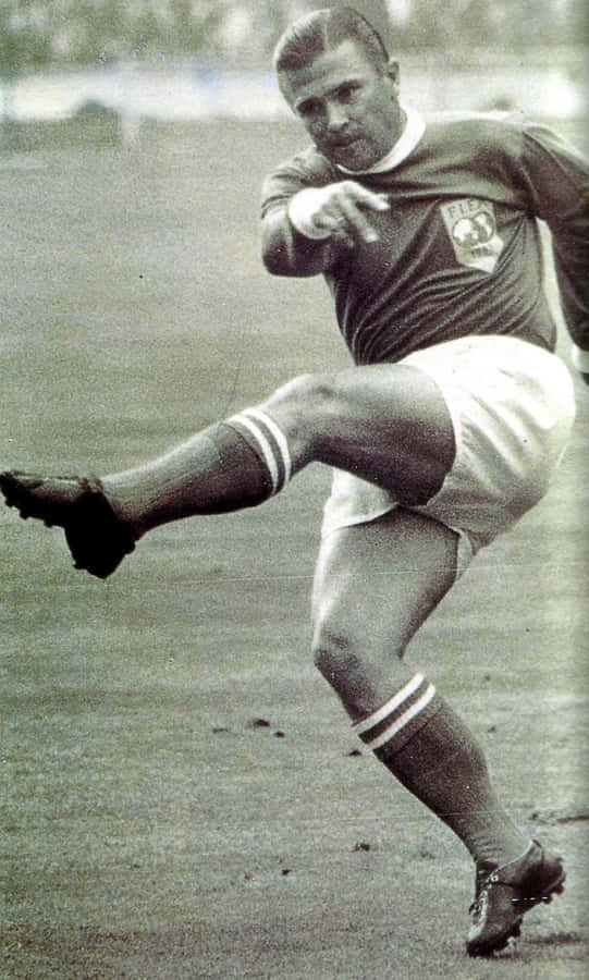 Ferenc Puskás Fifa 1954 World Cup Wallpaper