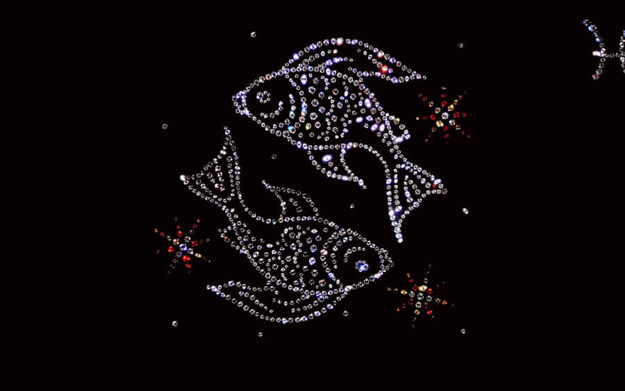 Find Your Aquatic Magic Wallpaper