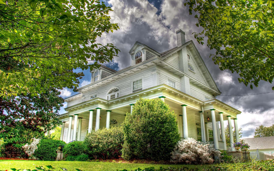 Flourishing Green Shrubs Complimenting A Southern Dental Office Garden Wallpaper