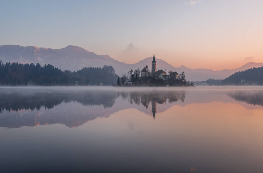 Forest Lake Bled Wallpaper