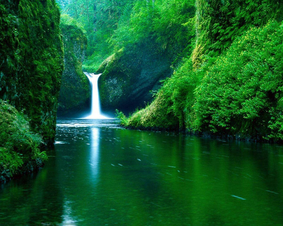 Free Image Green Waterfall Wallpaper