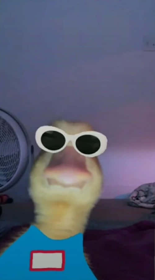 Funny Duck Cute Pfp For Tiktok Wallpaper