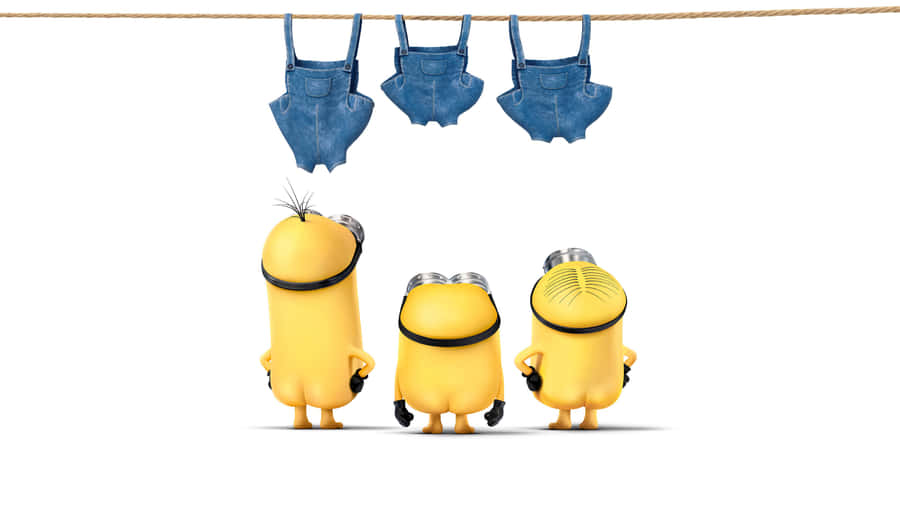 Funny Minion Pfp Wallpaper