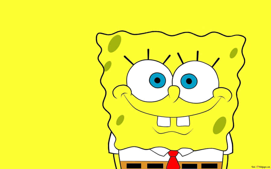 Get Ready To Laugh Out Loud With Spongebob And His Unique Friends! Wallpaper