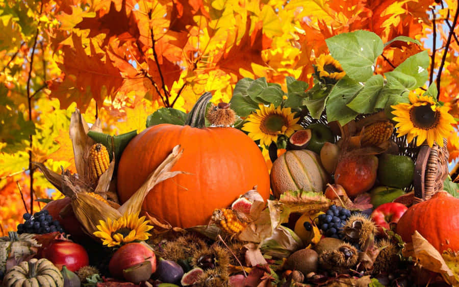 Give Thanks For This Beautiful Thanksgiving Wallpaper