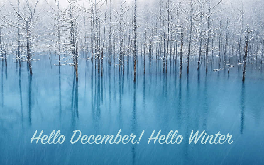 Goodbye November, Hello December Wallpaper