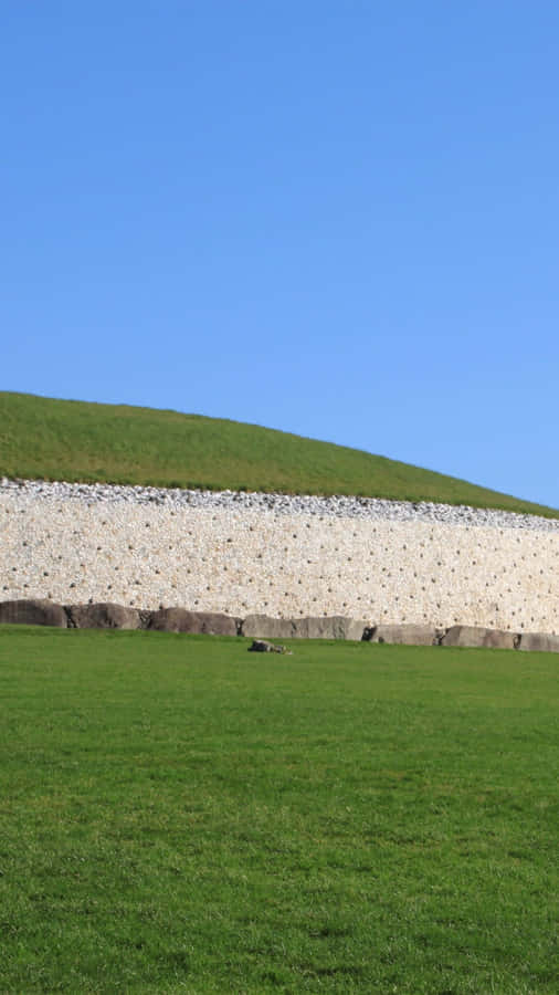 Grassy Newgrange With Blue Sky Portrait Wallpaper