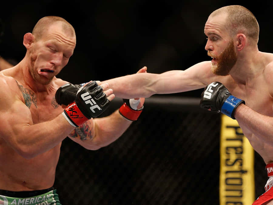 Gray Maynard Punched On The Face Wallpaper