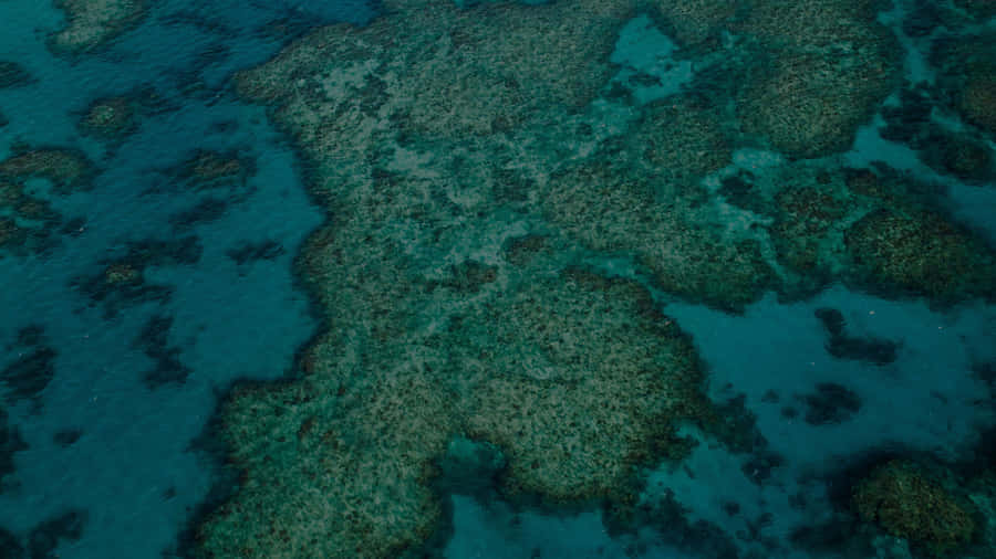 Great Barrier Reef Aerial View Wallpaper