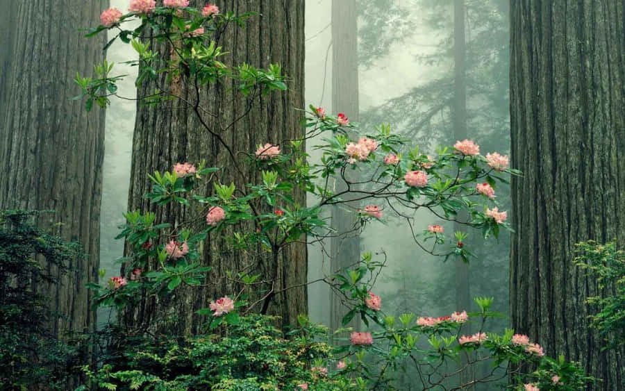 Green Plant Aesthetic Flower Wallpaper