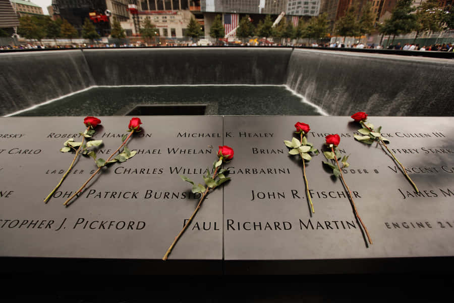 Ground Zero Memorial Roses Wallpaper