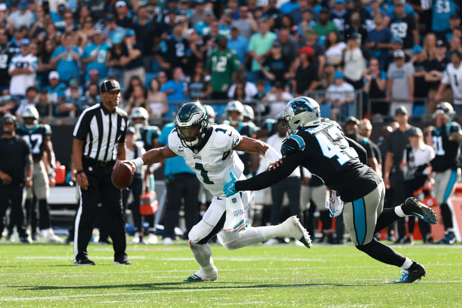 Haason Reddick Philadelphia Eagles Wallpaper