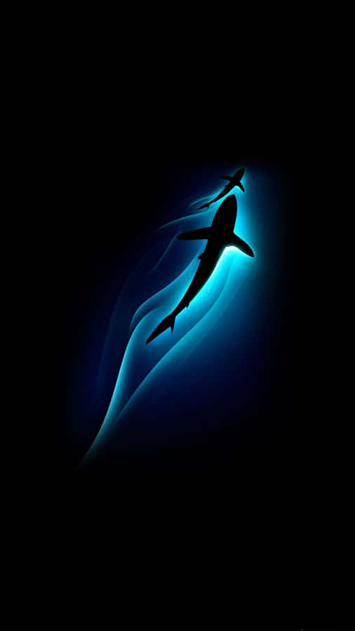 Hd Abstract Whale Phone Wallpaper