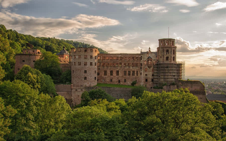 Heidelberg Castle Nature Scenery Wallpaper