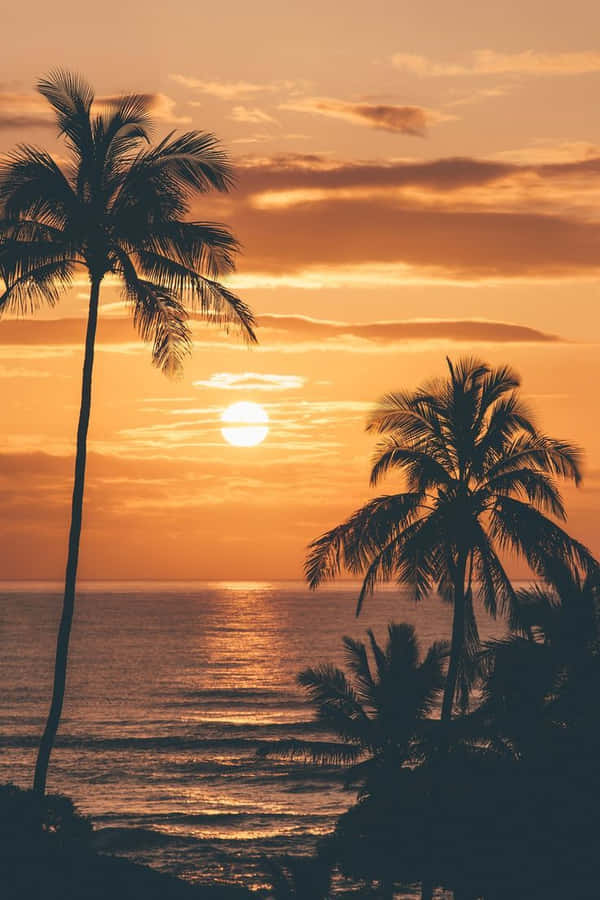 Image Enjoying Hawaii's Beautiful Sunset Wallpaper