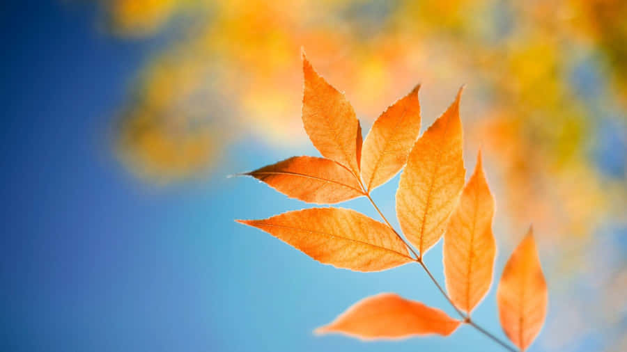 Image Secure Your Laptop With A Lock Screen Wallpaper