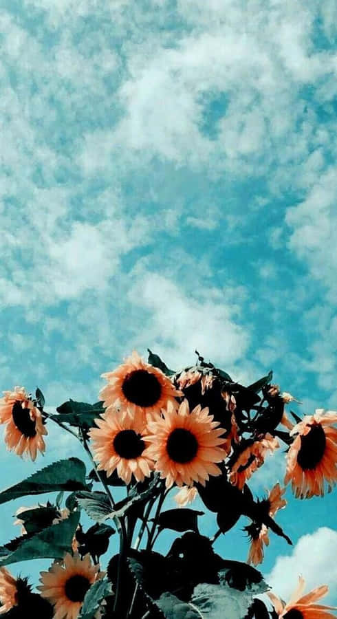 Indie Flower [wallpaper] Wallpaper