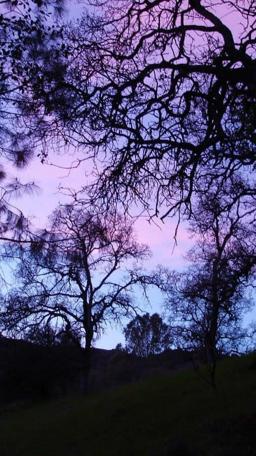 Intricate Purple Gothic Castle Design Wallpaper