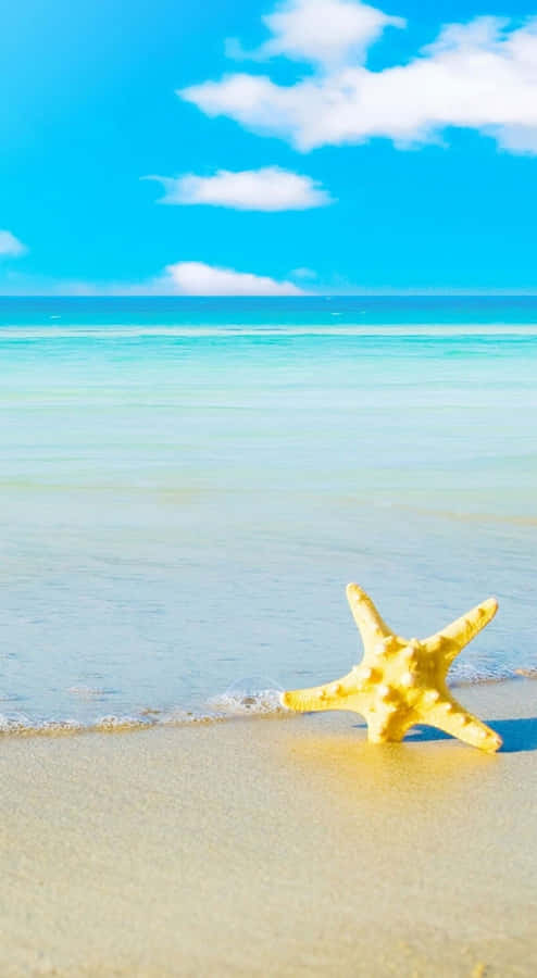 Ios Beach Starfish Wallpaper