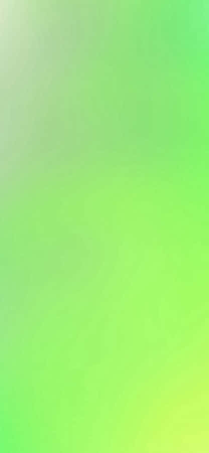 Iphone 11 Refreshing Green Wallpaper
