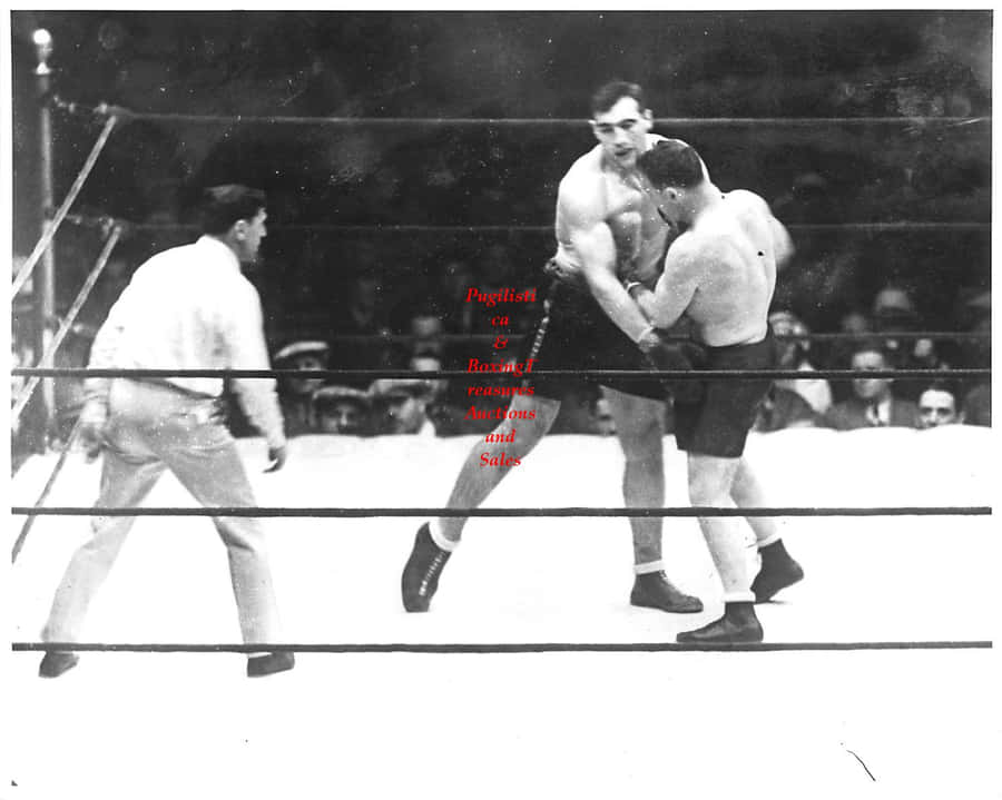 Italian Professional Boxer Primo Carnera Against Jim Maloney Wallpaper