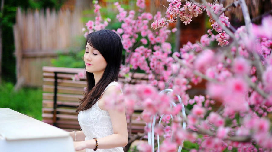 Japan Girl Playing Piano Pink Garden Flowers Wallpaper