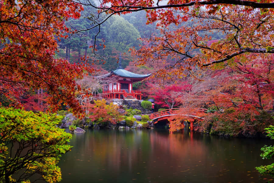 Japanese Culture Desktop Wallpaper Wallpaper