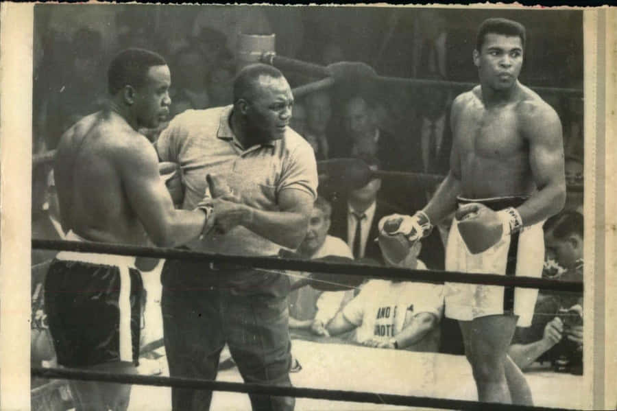 Jersey Joe Walcott As A Referee Wallpaper