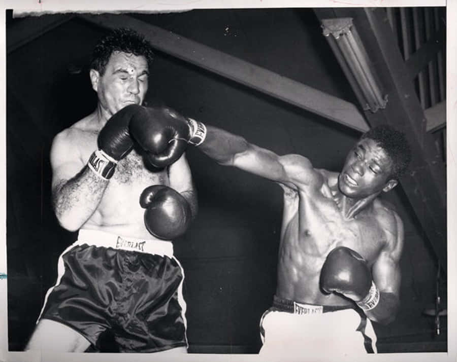 Joey Maxim Bruised Wallpaper