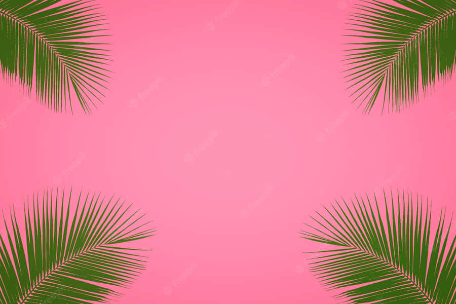 Join Us For The Ultimate Pink Summer Adventure! Wallpaper