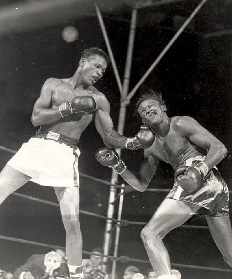 Kid Gavilan Tablet Wallpaper