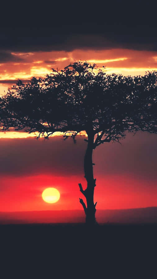 Latest Iphone Backed By African Culture Wallpaper