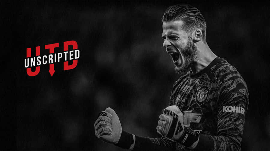 Legendary Goalkeeper Peter Schmeichel In Action Wallpaper