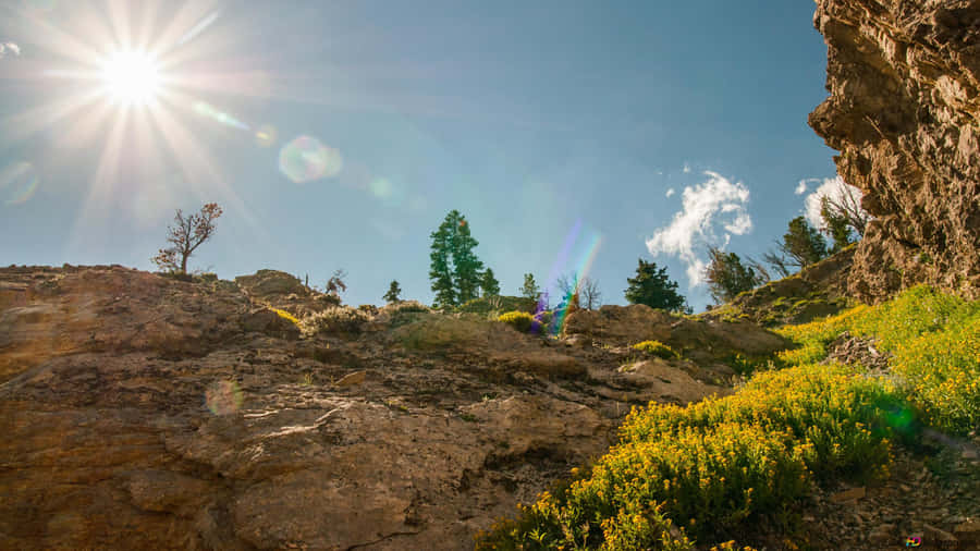 Let The Warmth Of The Sun Rejuvenate You Wallpaper