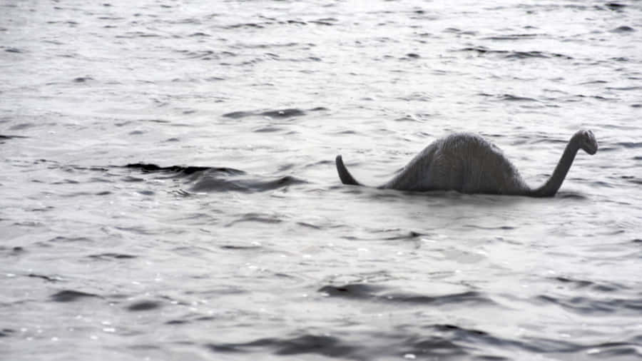 Loch Ness Lake Folklore Monster Wallpaper