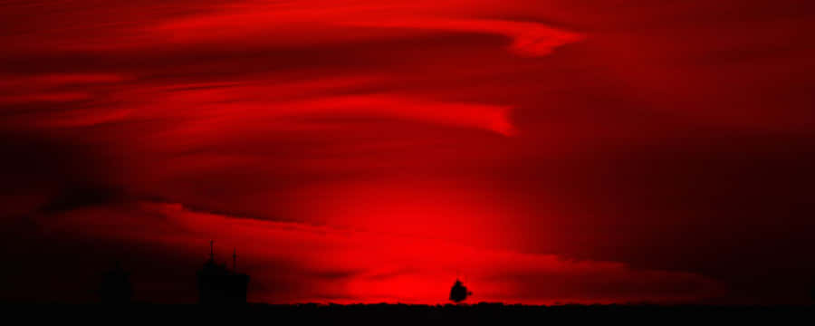 Lone Tree Red Ultra Wide Hd Wallpaper