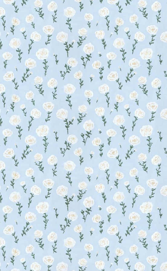 Look Trendy And Stay Cute! Wallpaper