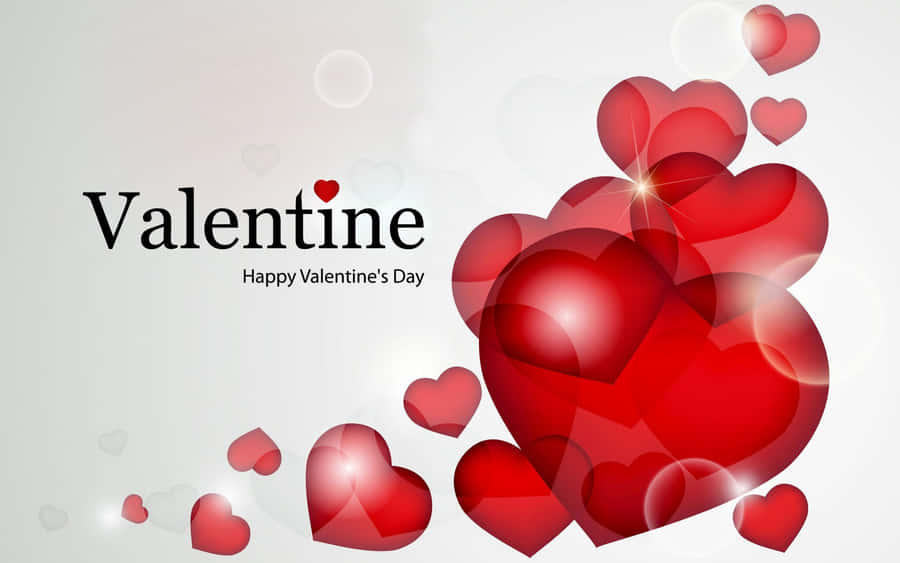 Love Sweetly Blooms On This Day! Wallpaper