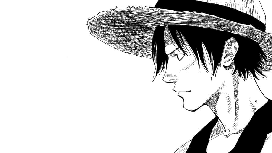 Luffy Strikes A Pose Wallpaper