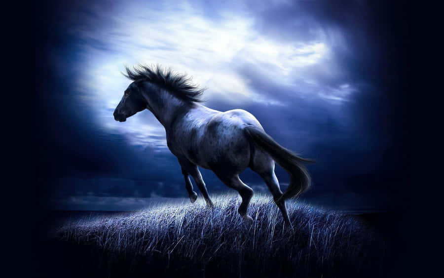 Majestic Horsein Moonlight Wallpaper