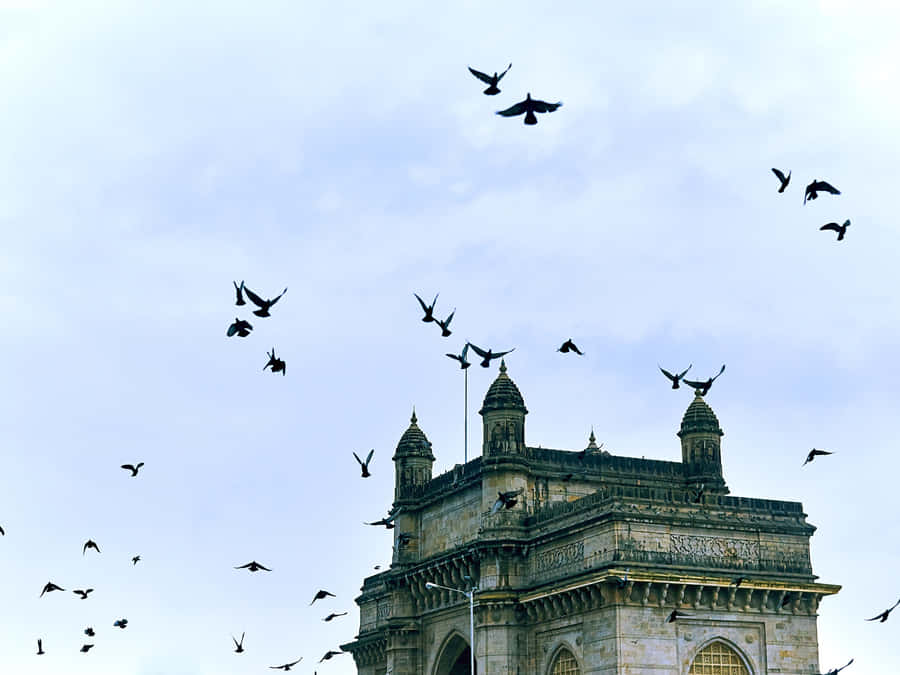 Majestic Overhead View Of Gateway To India Wallpaper