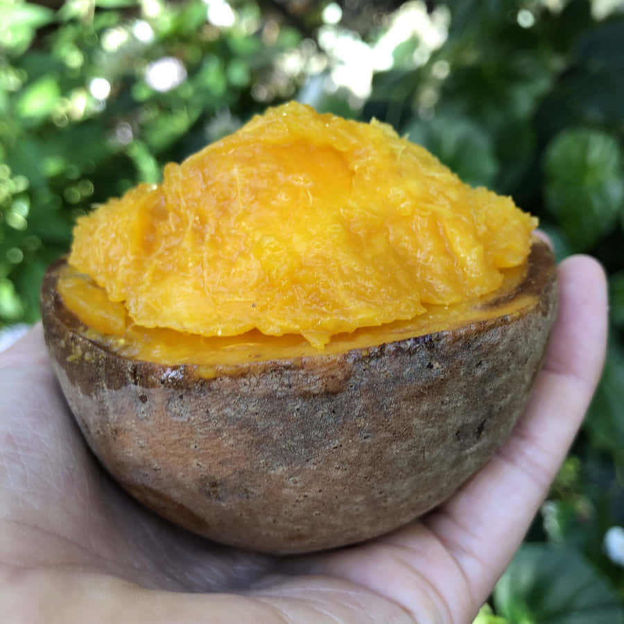 Mammee Fruit Halfin Hand Wallpaper