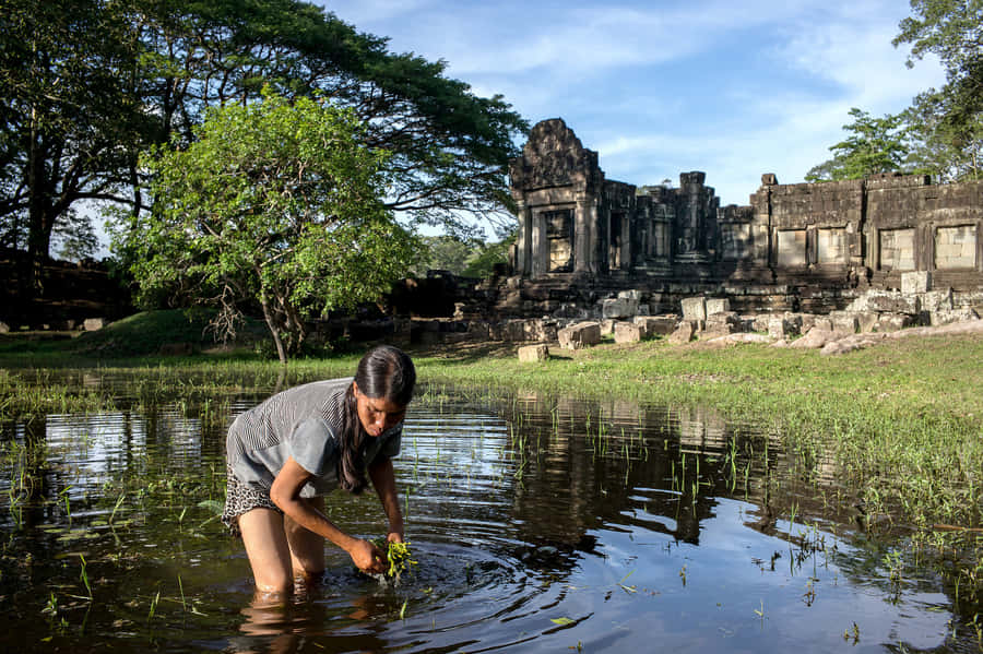 Man In Water In Angkor Thom Wallpaper