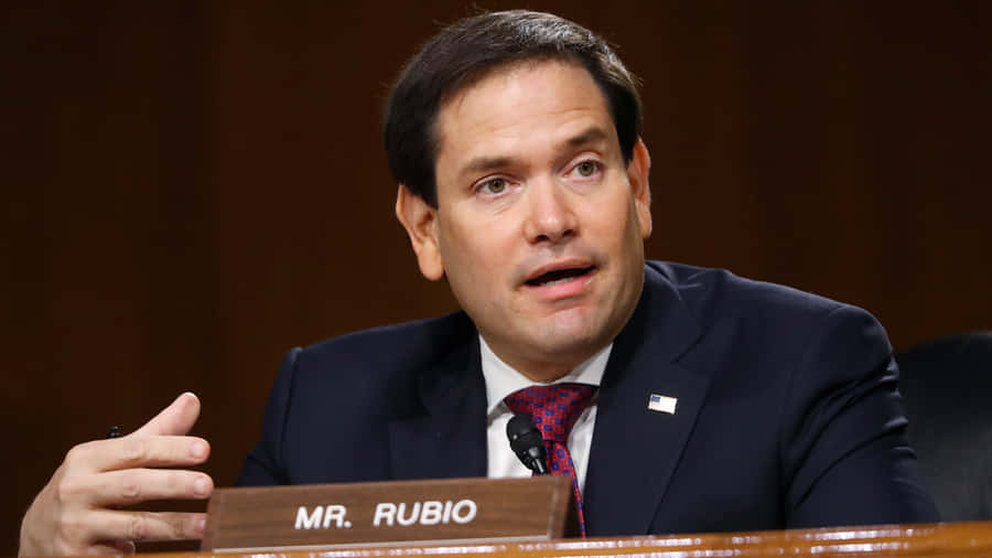 Marco Rubio Talking Wallpaper